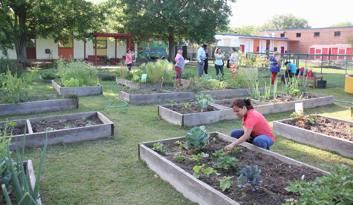 How Urban Gardens Build Community and Food Access Aramark